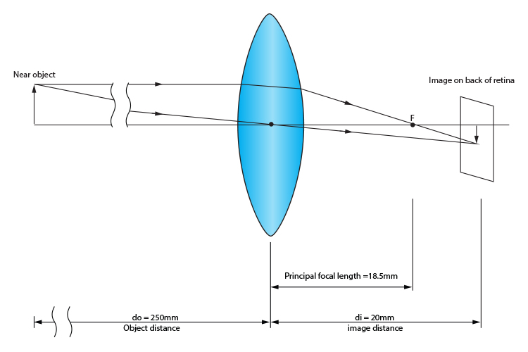 Principal focal length of a near object